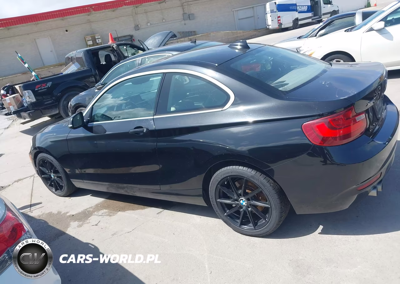2015 BMW 228I xDrive VIN:WBA1F7C52FVX95466 - 14