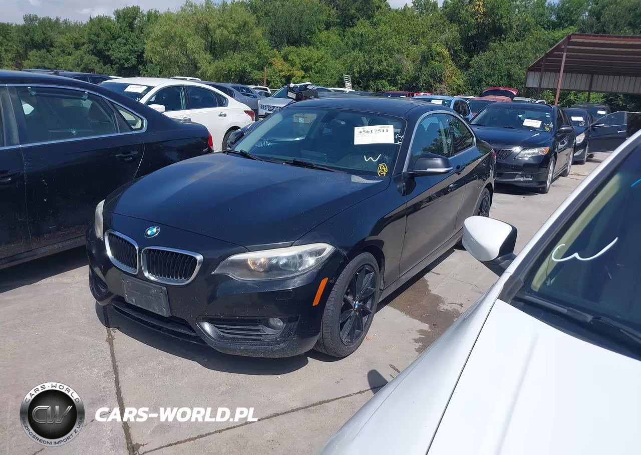 2015 BMW 228I xDrive VIN:WBA1F7C52FVX95466 - 2