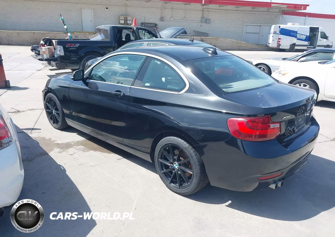 2015 BMW 228I xDrive VIN:WBA1F7C52FVX95466 - 3