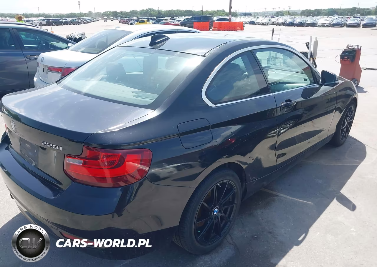 2015 BMW 228I xDrive VIN:WBA1F7C52FVX95466 - 4