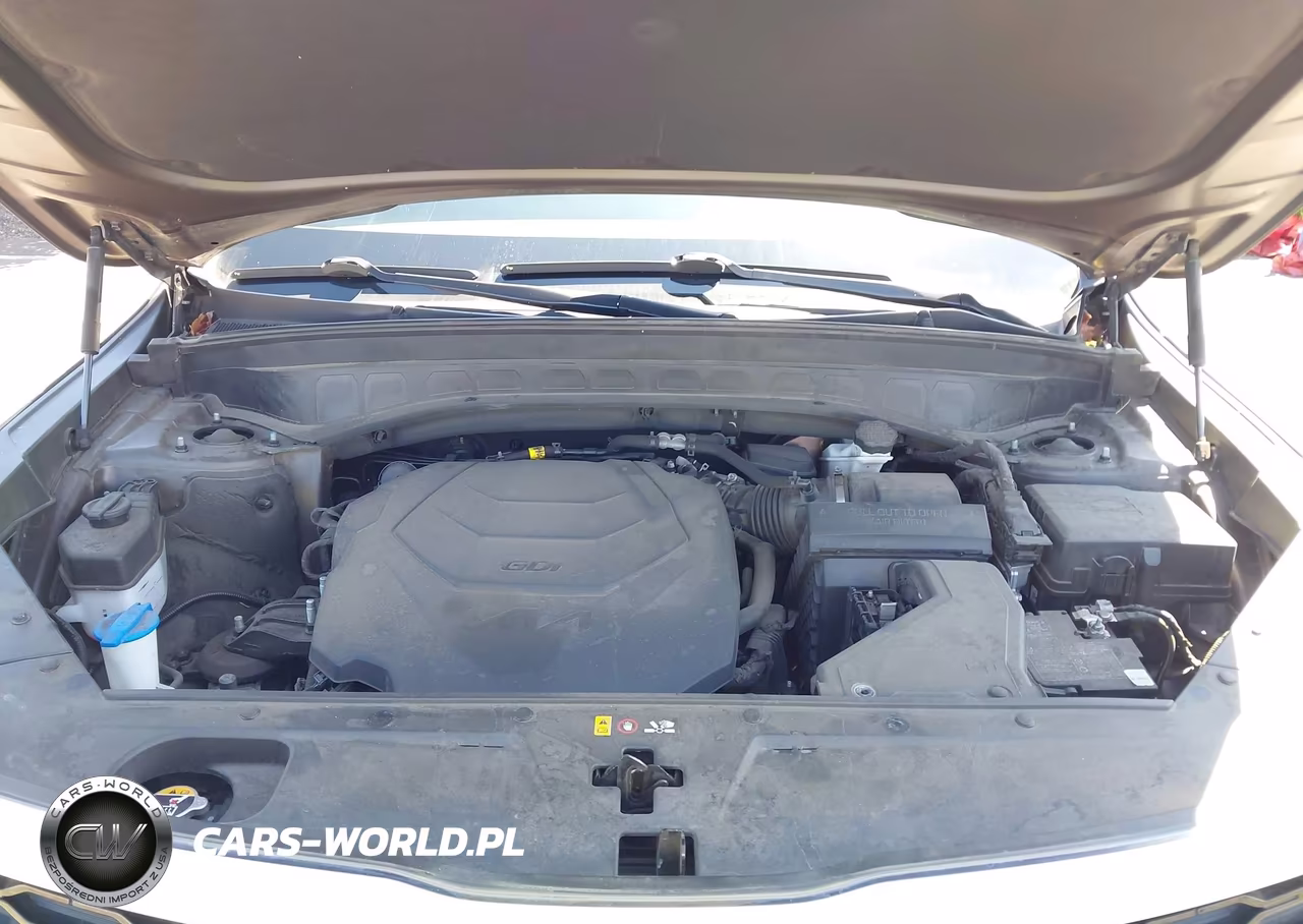 2022 Kia Telluride S VIN:5XYP6DHC7NG229781 - 10