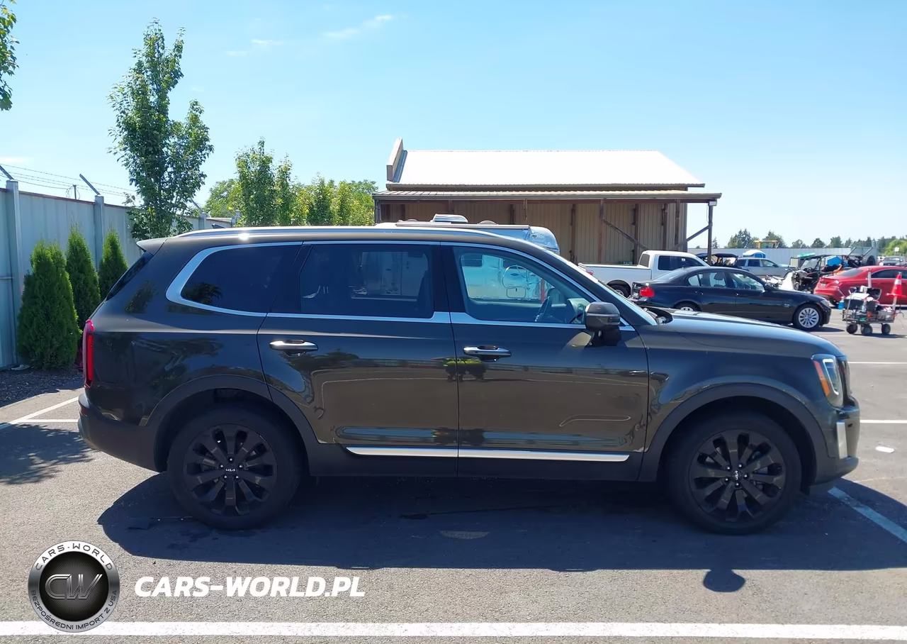 2022 Kia Telluride S VIN:5XYP6DHC7NG229781 - 13