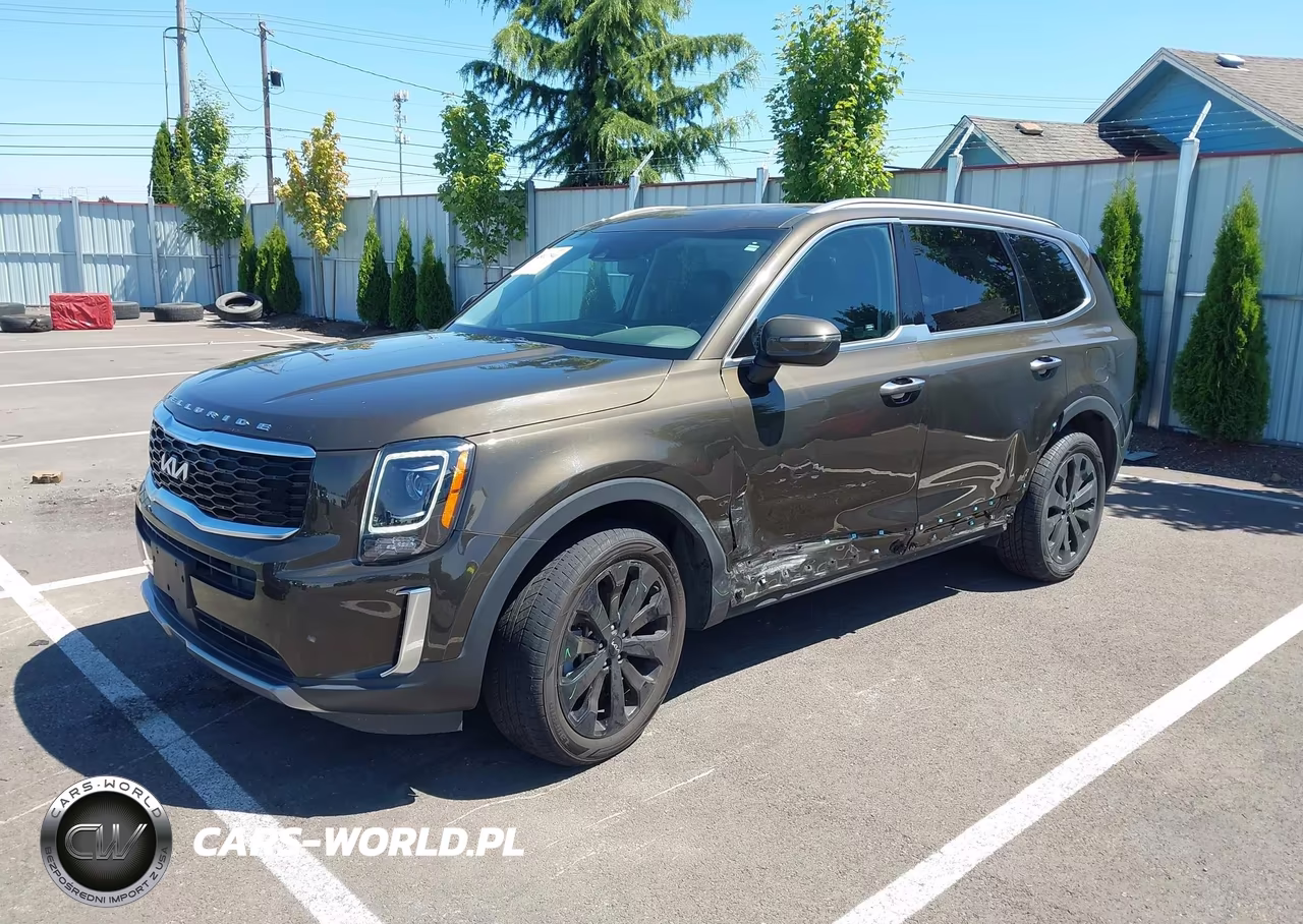 2022 Kia Telluride S VIN:5XYP6DHC7NG229781 - 2
