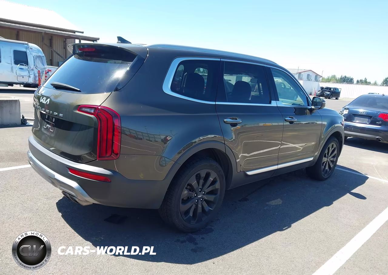 2022 Kia Telluride S VIN:5XYP6DHC7NG229781 - 4