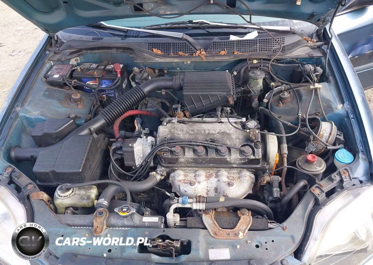 1998 Honda Civic Lx VIN:2HGEJ6677WH626872 - 10