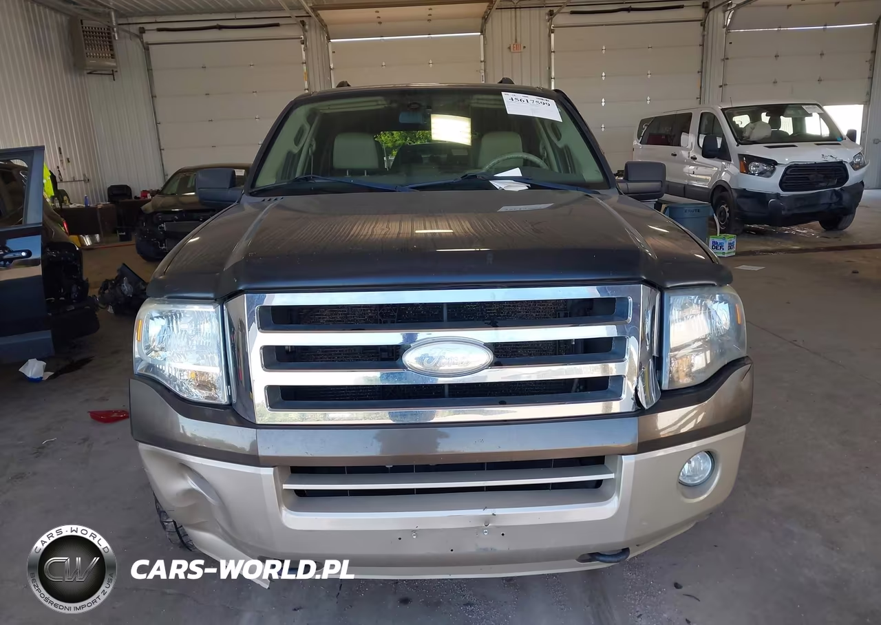 2008 Ford Expedition Eddie Bauer VIN:1FMFU185X8LA76142 - 12