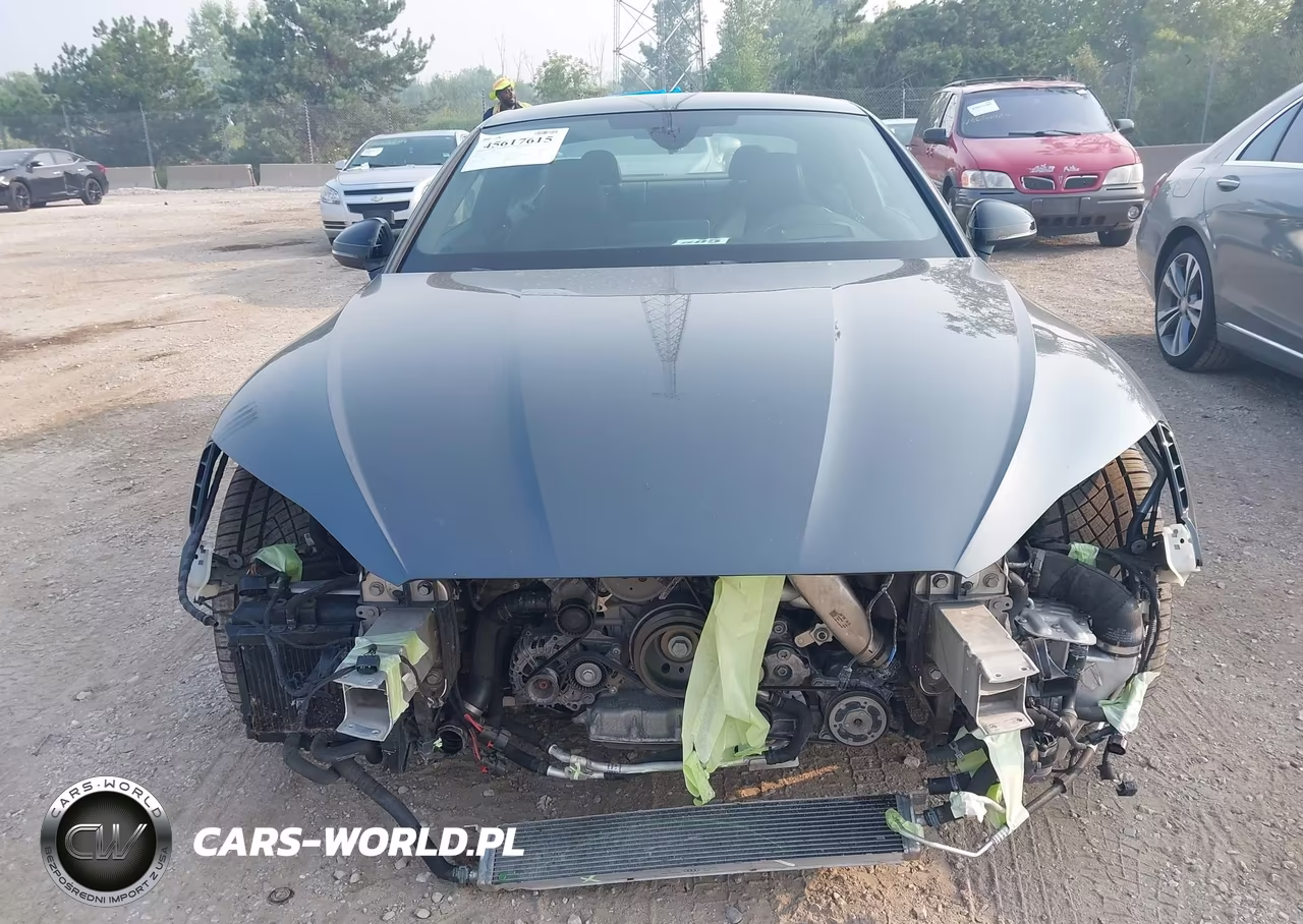 2019 Audi Rs 5 2.9T VIN:WUAPWAF5XKA903049 - 12