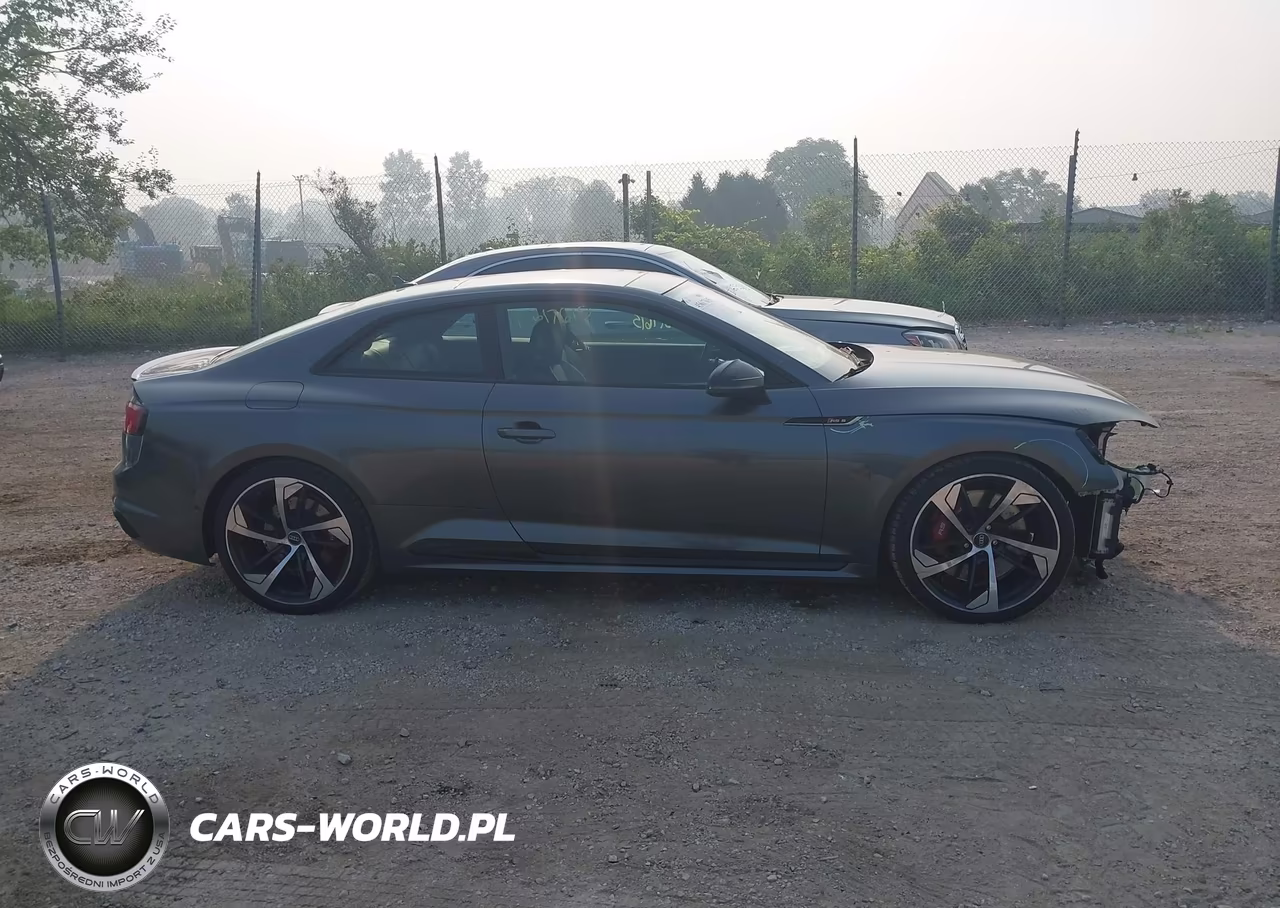 2019 Audi Rs 5 2.9T VIN:WUAPWAF5XKA903049 - 13