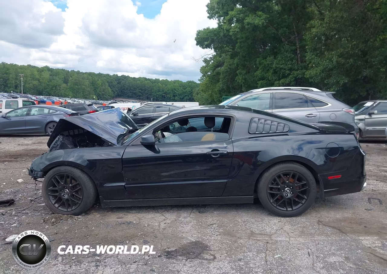 2014 Ford Mustang V6 VIN:1ZVBP8AMXE5218622 - 14