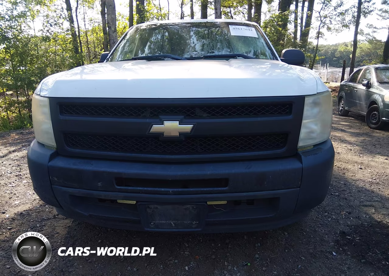 2011 Chevrolet Silverado 1500 Work Truck VIN:1GCRCPEX3BZ448552 - 12