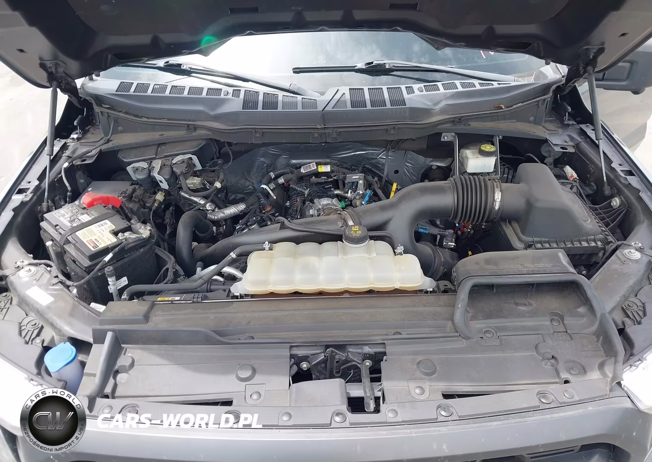 2021 Ford F-150 Xlt VIN:1FTEW1CP1MFD08560 - 10