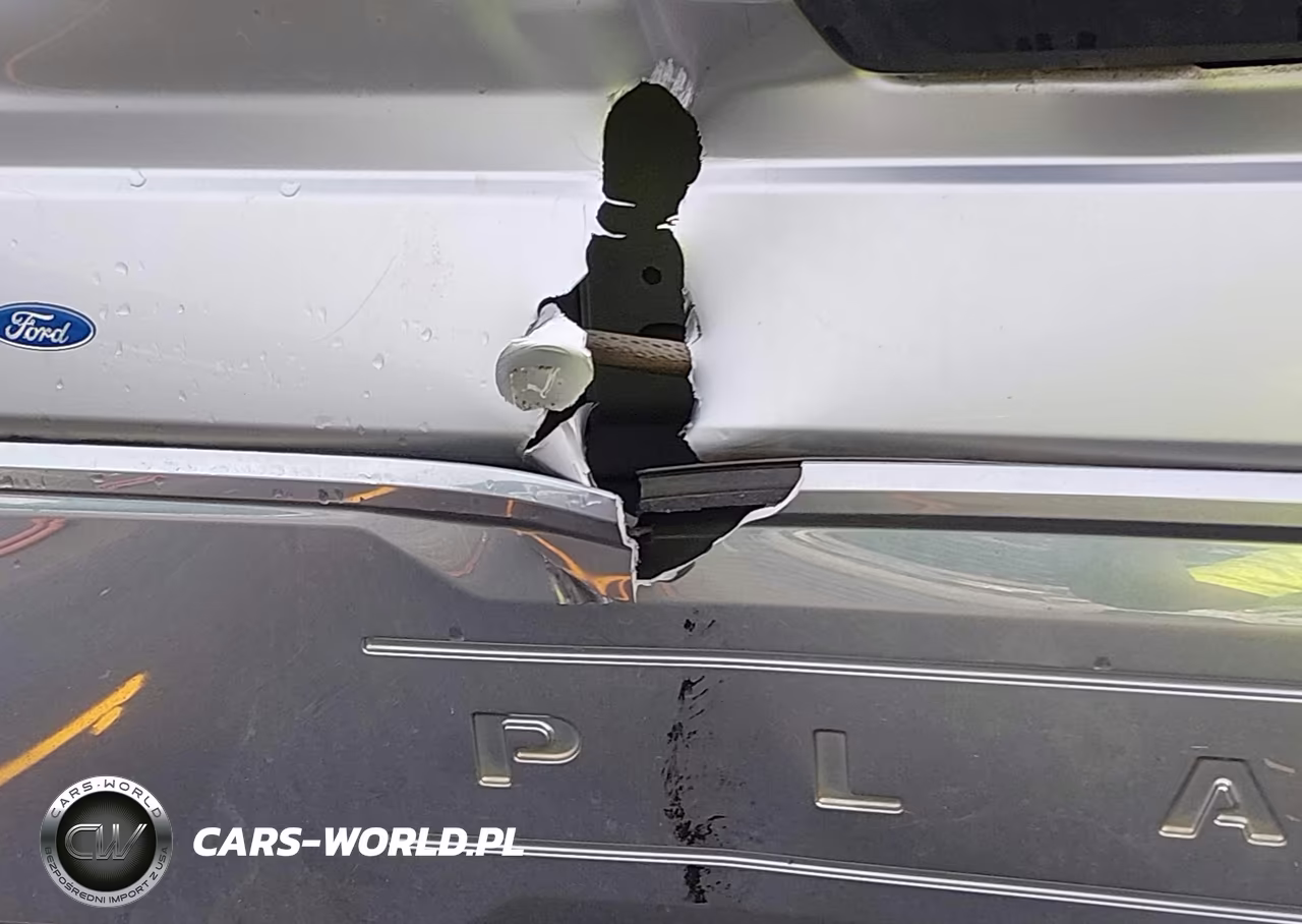 2019 Ford F-350 Platinum VIN:1FT8W3BT1KEC27326 - 16