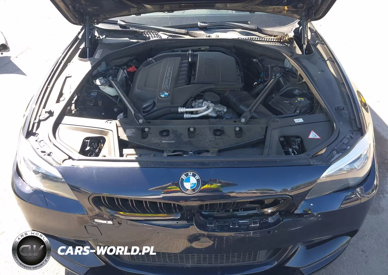 2015 BMW 535I VIN:WBA5B1C52FG127262 - 10