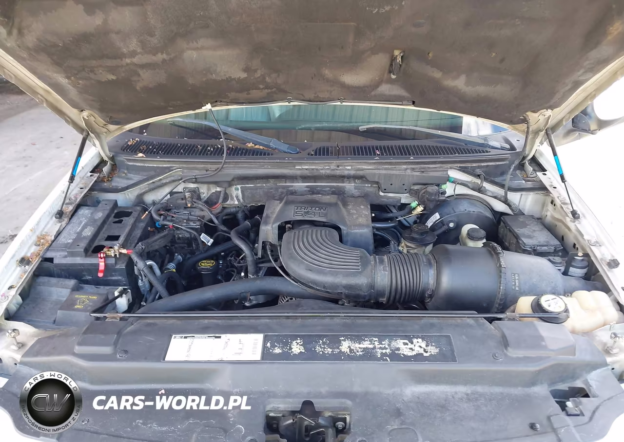 2001 Ford Expedition Eddie Bauer VIN:1FMRU17L21LB21951 - 10