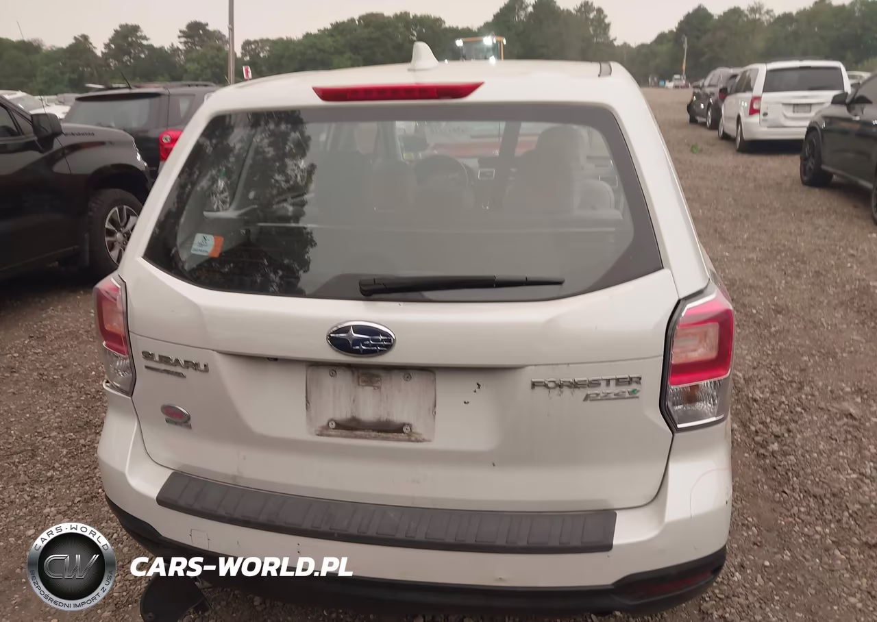 2017 Subaru Forester 2.5I VIN:JF2SJAACXHH429293 - 16