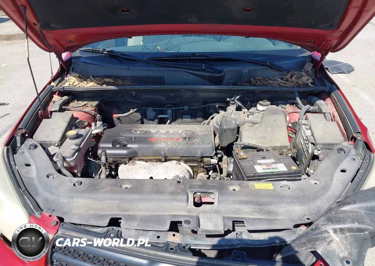 2006 Toyota Rav4 VIN:JTMBD33V465026151 - 10