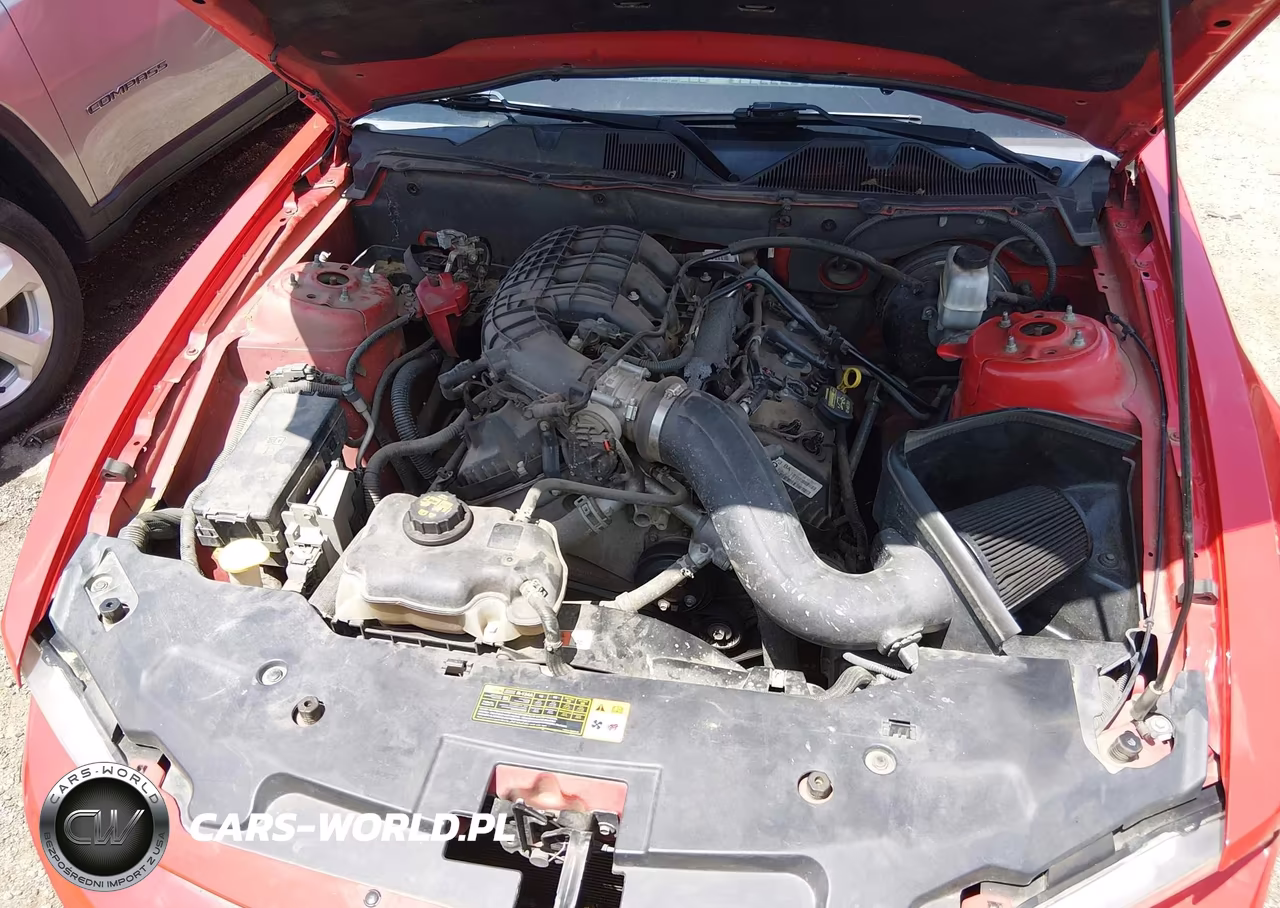 2011 Ford Mustang V6 VIN:1ZVBP8AM2B5143894 - 10