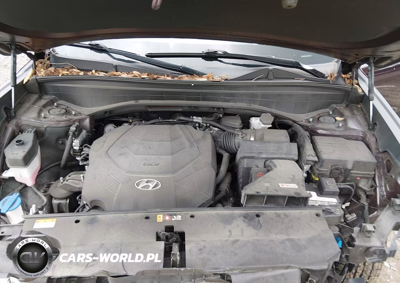 2023 Hyundai Palisade Limited VIN:KM8R54GE6PU490198 - 10