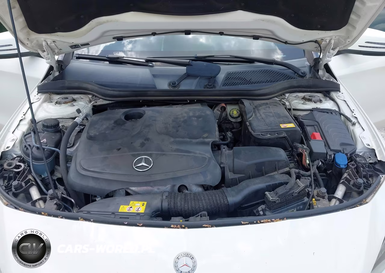 2014 Mercedes-Benz Cla 250 VIN:WDDSJ4EB5EN042669 - 10