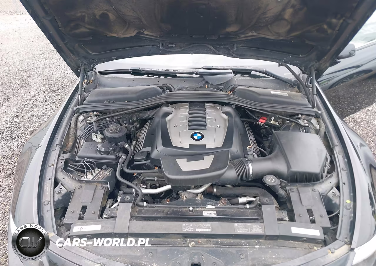 2009 BMW 650I VIN:WBAEB53589CX64059 - 10