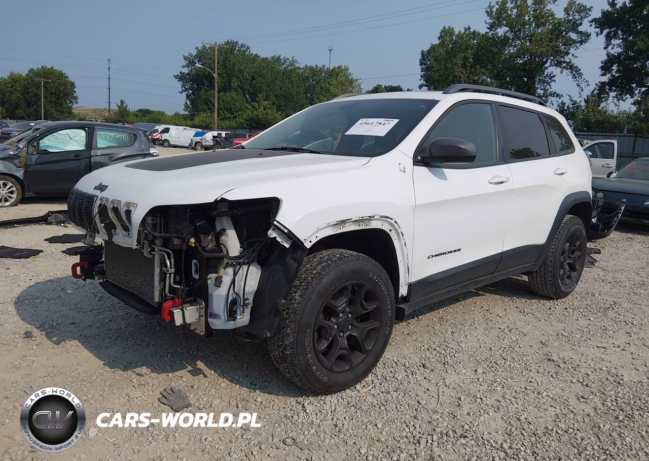 2019 Jeep Cherokee Trailhawk VIN:1C4PJMBX7KD329769 - 2