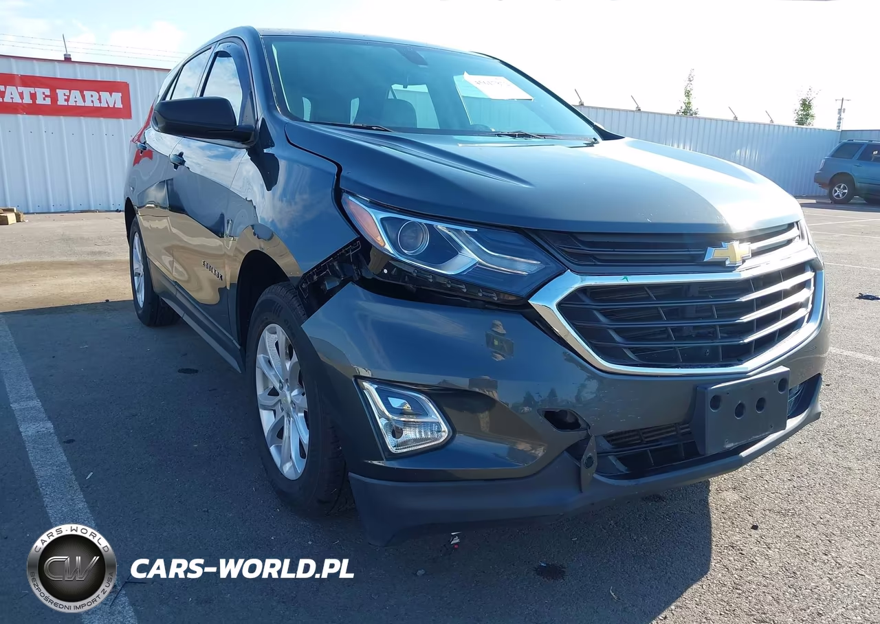2018 Chevrolet Equinox Ls VIN:3GNAXREV2JS585965 - 6