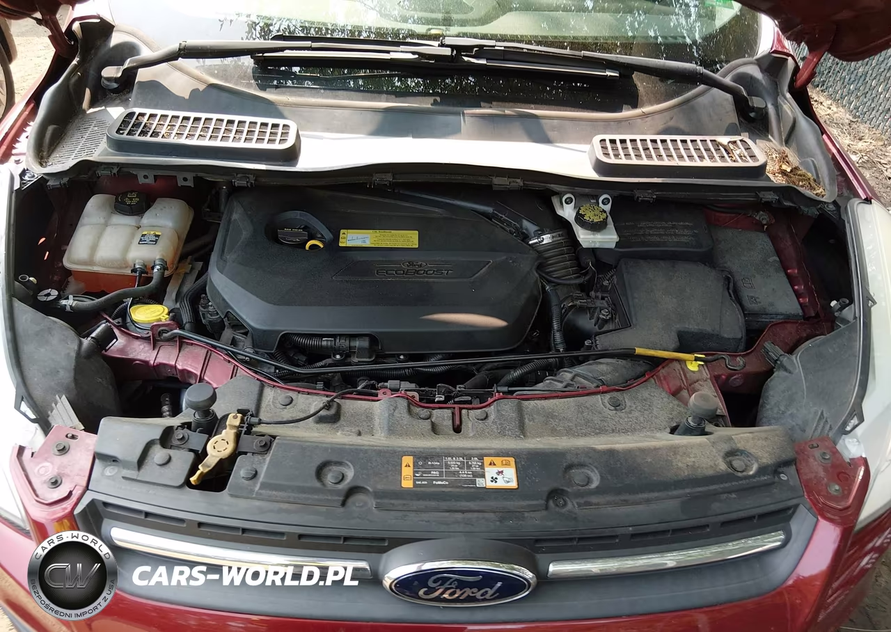 2013 Ford Escape Se VIN:1FMCU0GX2DUA70677 - 10