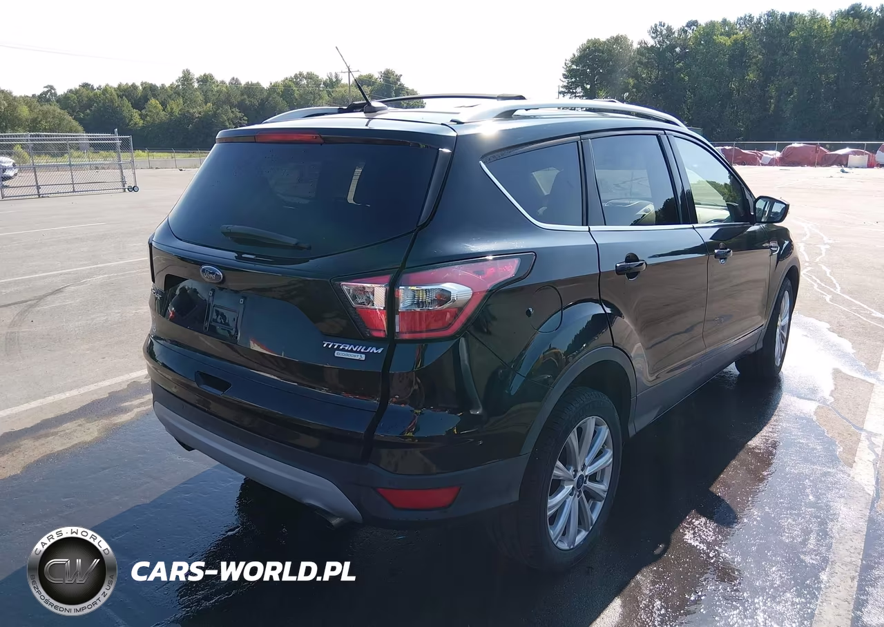 2017 Ford Escape Titanium VIN:1FMCU0JD9HUC06744 - 4