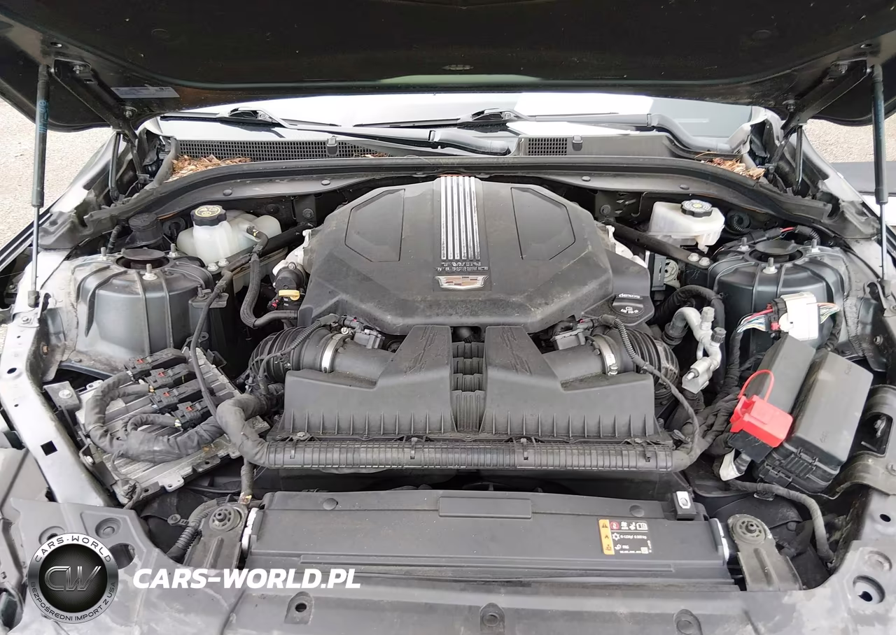 2021 Cadillac Ct5 Premium Luxury VIN:1G6DN5RW9M0106379 - 10