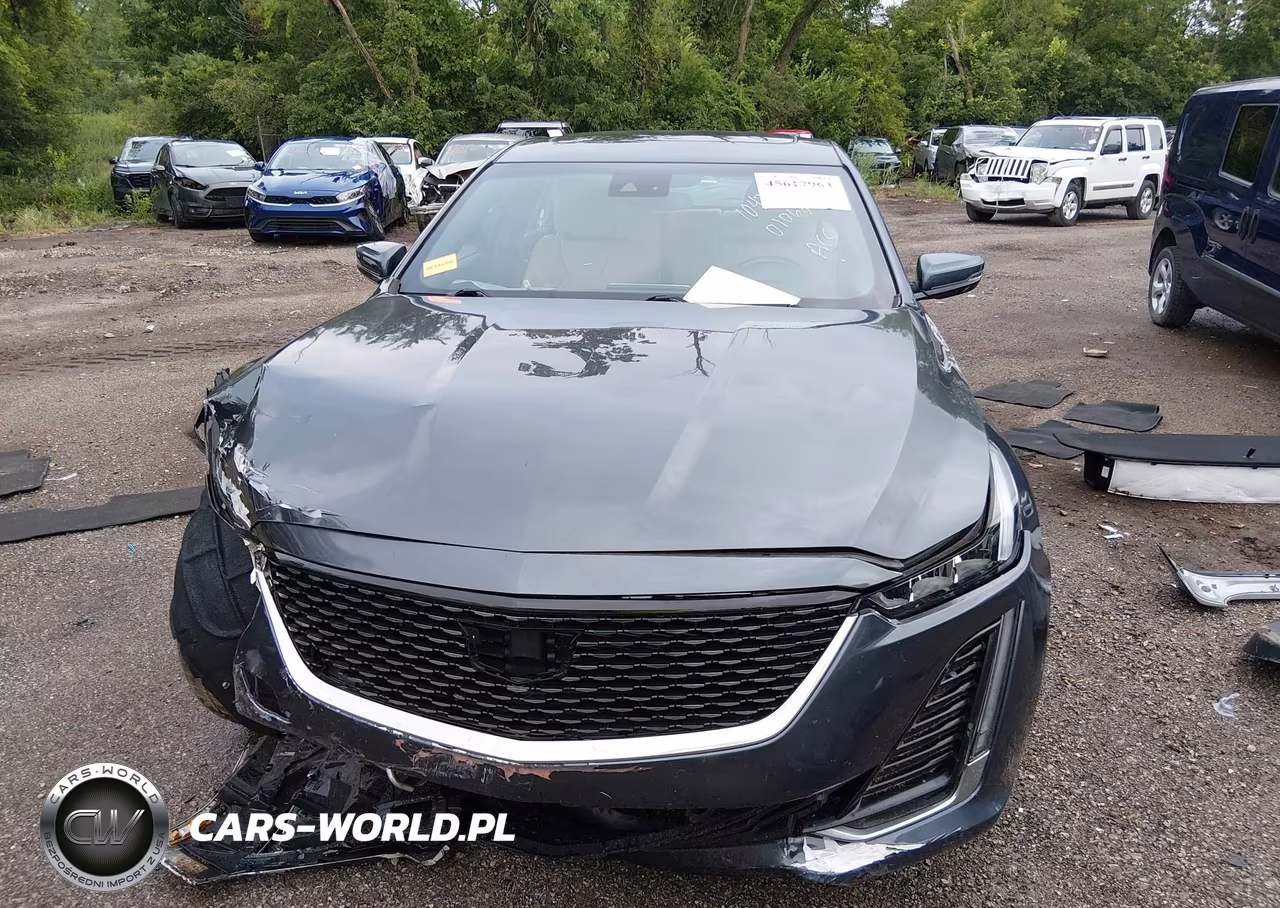2021 Cadillac Ct5 Premium Luxury VIN:1G6DN5RW9M0106379 - 12