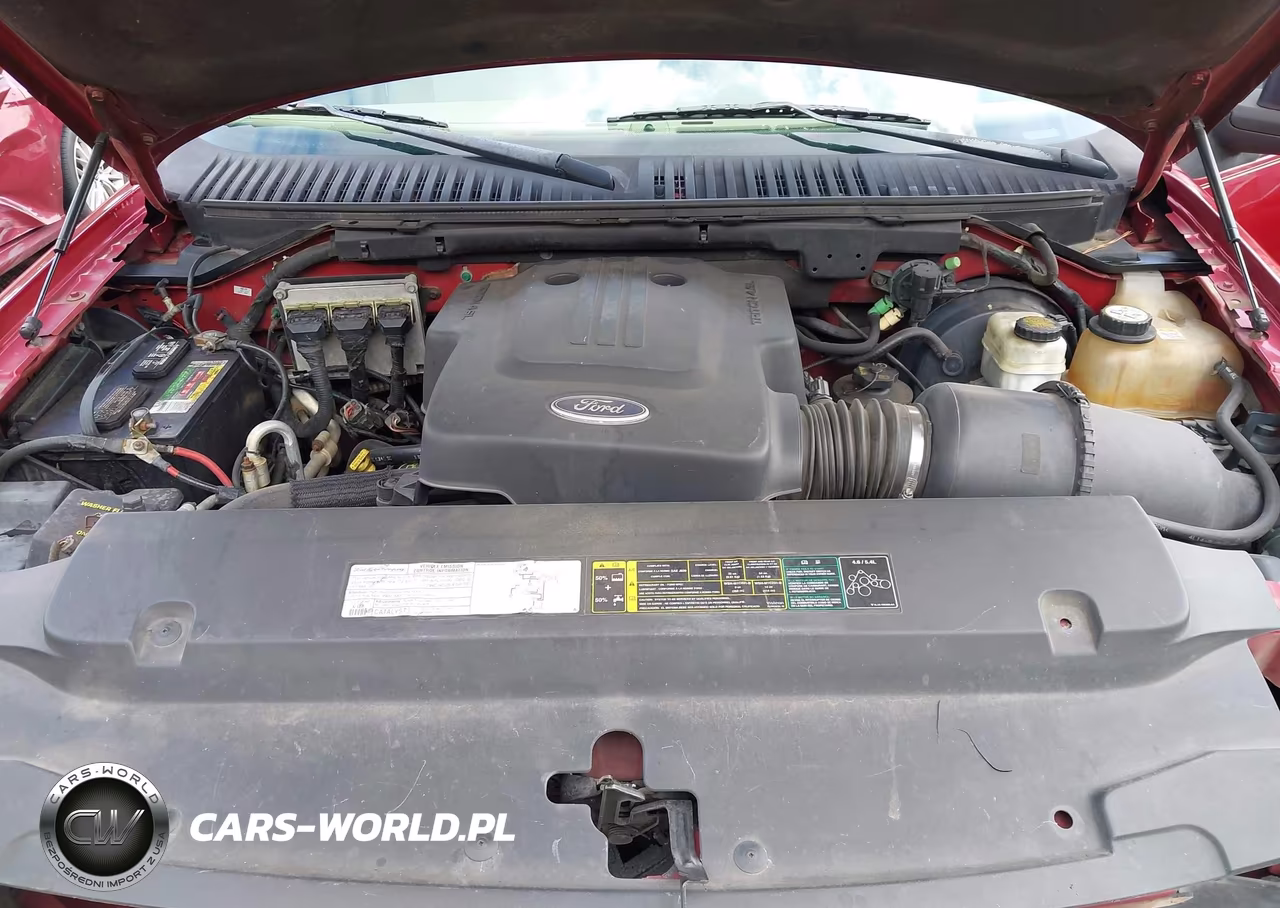 2004 Ford Expedition Eddie Bauer VIN:1FMEU17W84LA82456 - 10