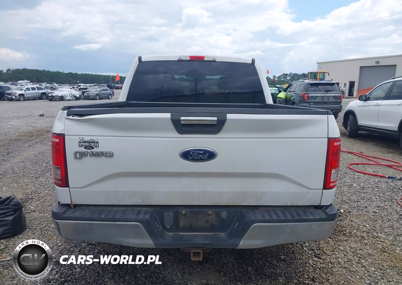 2017 Ford F-150 Xlt VIN:1FTEW1CFXHFC17350 - 16