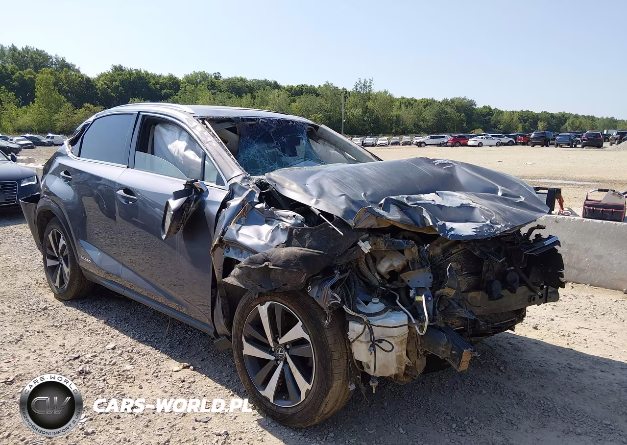 2018 Lexus Nx 300H – zdjęcie 1 z 16