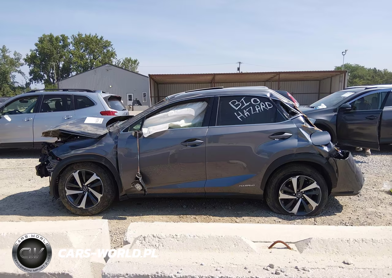 2018 Lexus Nx 300H VIN:JTJBJRBZ1J2093829 - 14
