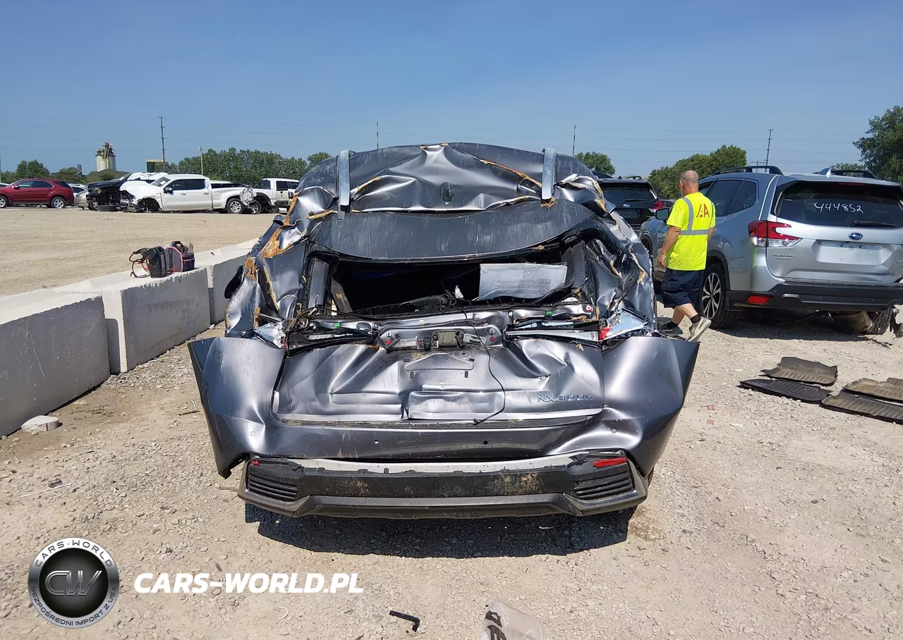 2018 Lexus Nx 300H VIN:JTJBJRBZ1J2093829 - 16