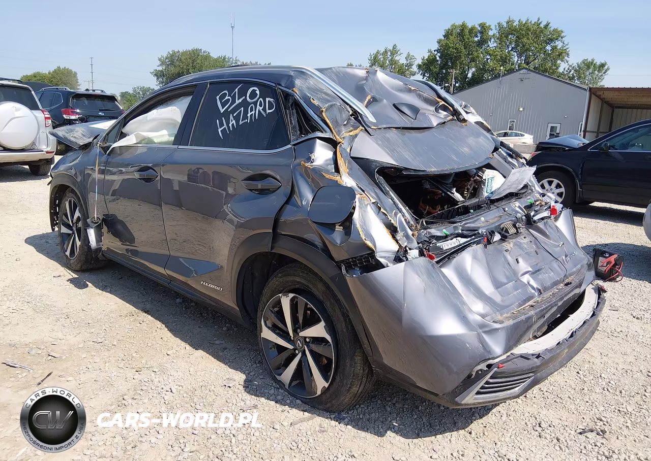 2018 Lexus Nx 300H VIN:JTJBJRBZ1J2093829 - 3