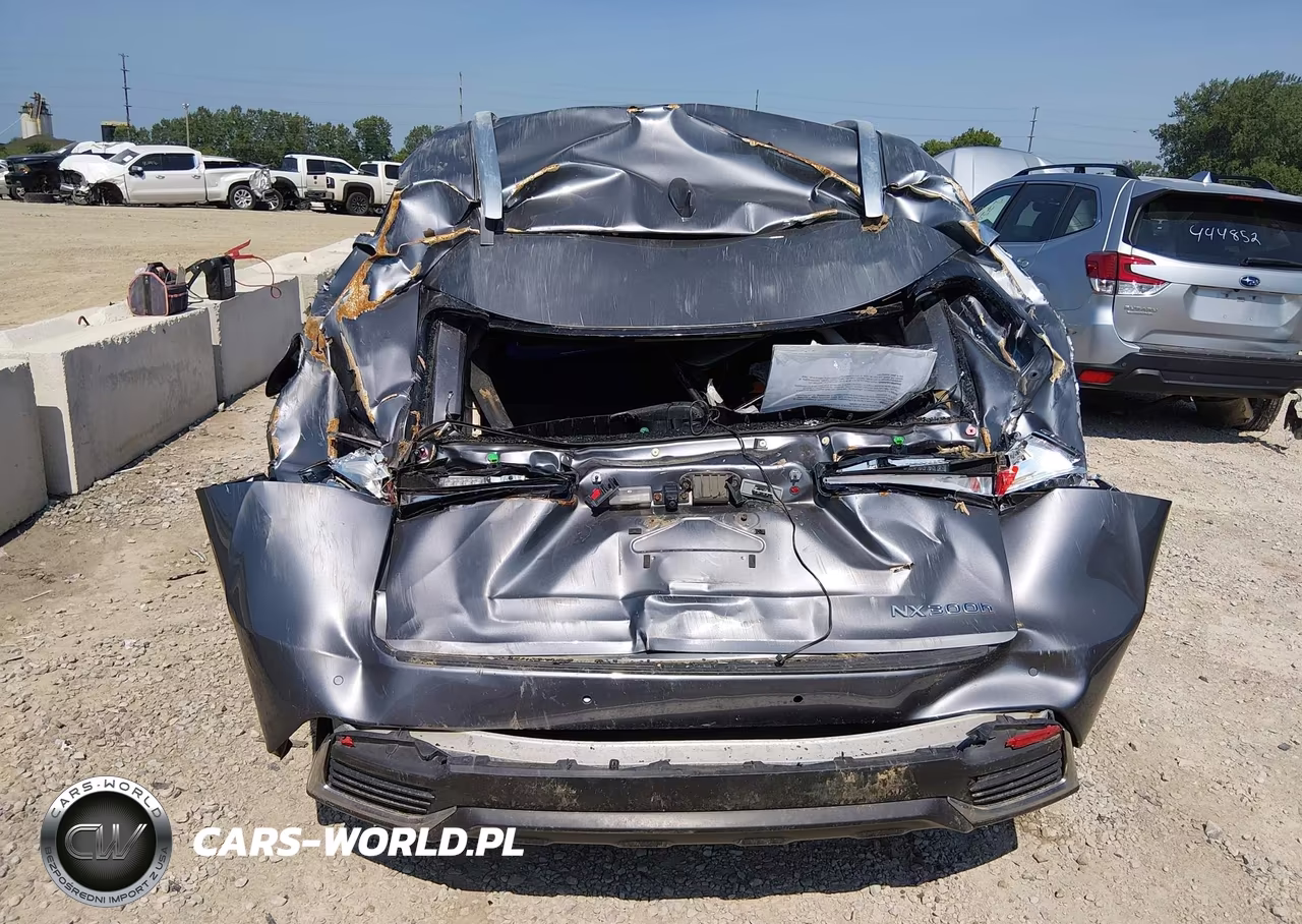 2018 Lexus Nx 300H VIN:JTJBJRBZ1J2093829 - 6