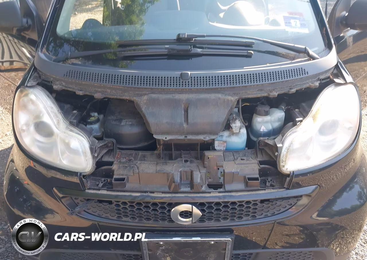 2015 Smart Fortwo Pure VIN:WMEEJ3BA5FK817554 - 10
