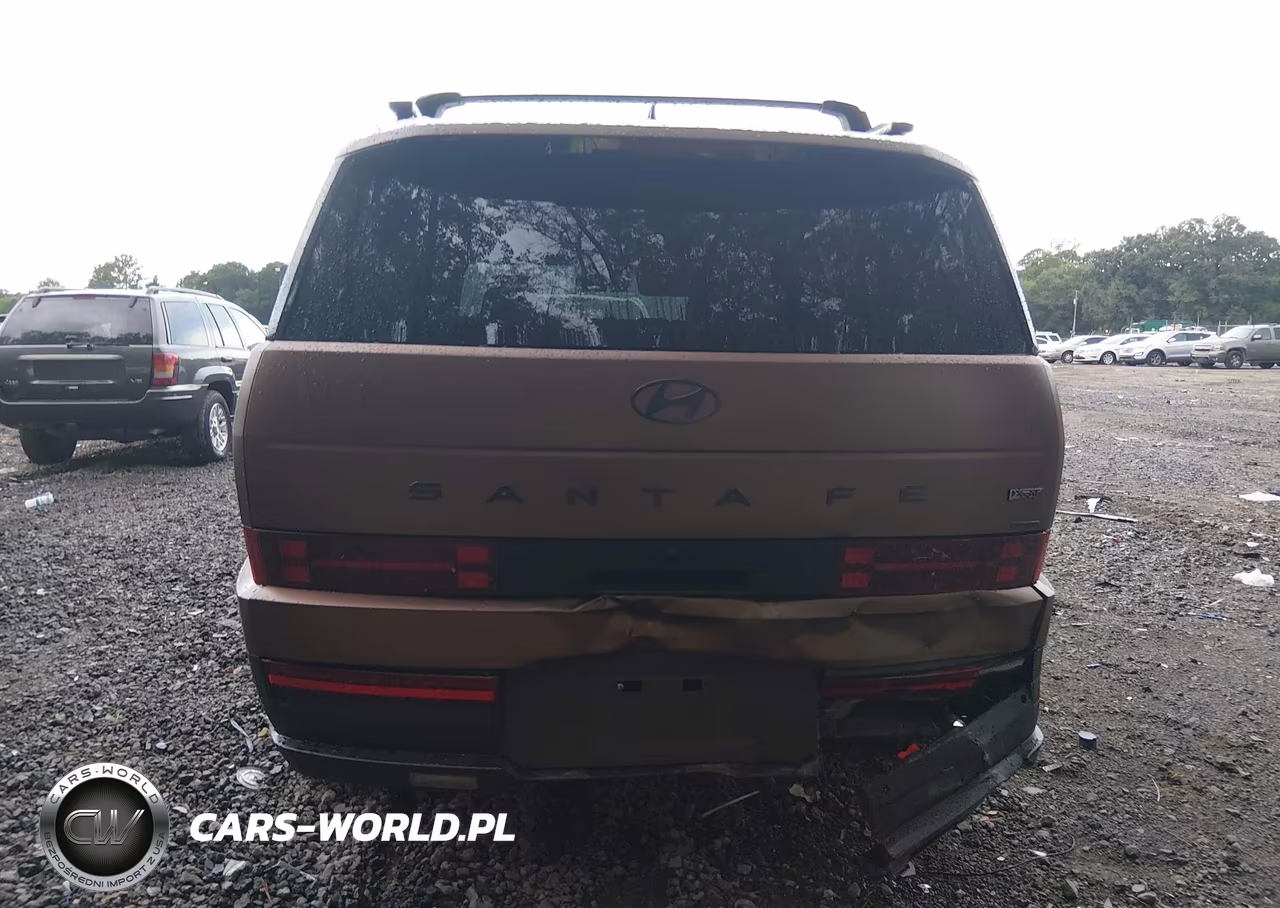2025 Hyundai Santa Fe Xrt VIN:5NMP3DGL3SH113425 - 16