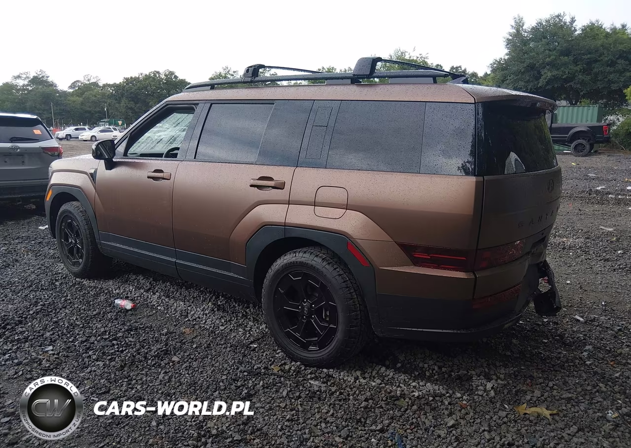 2025 Hyundai Santa Fe Xrt VIN:5NMP3DGL3SH113425 - 3