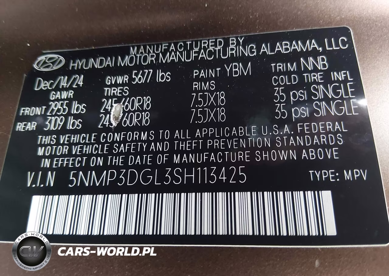 2025 Hyundai Santa Fe Xrt VIN:5NMP3DGL3SH113425 - 9
