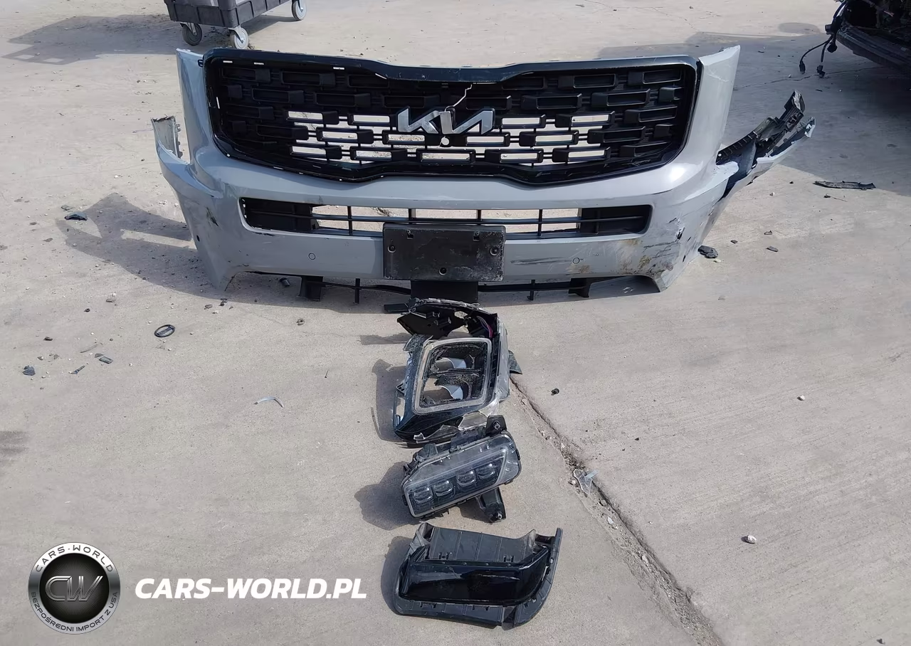 2022 Kia Telluride Sx VIN:5XYP5DHC5NG230026 - 12