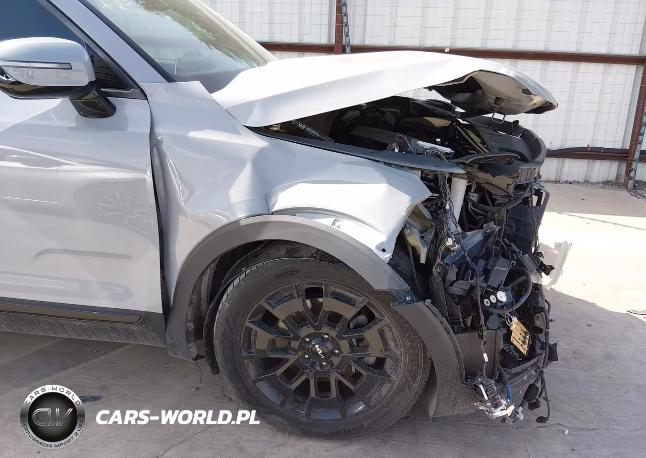 2022 Kia Telluride Sx VIN:5XYP5DHC5NG230026 - 13