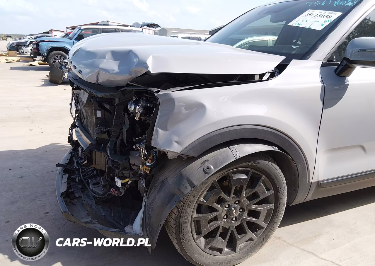 2022 Kia Telluride Sx VIN:5XYP5DHC5NG230026 - 14