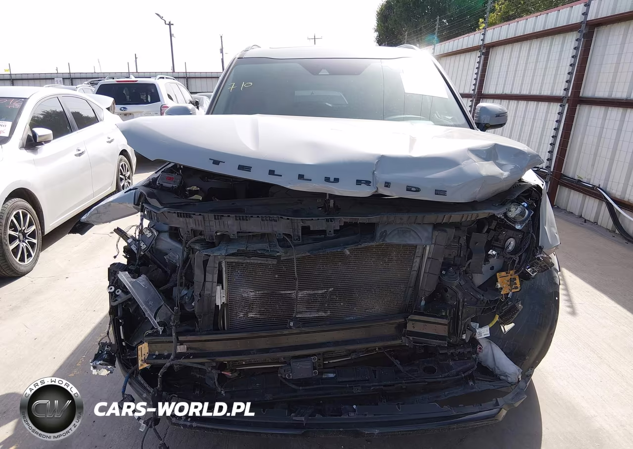 2022 Kia Telluride Sx VIN:5XYP5DHC5NG230026 - 15