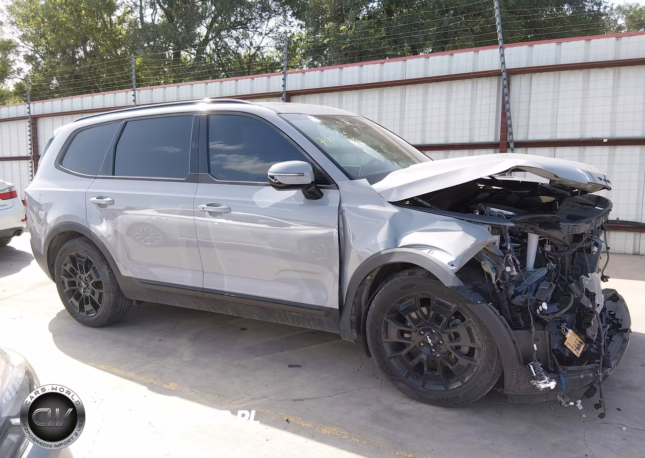 2022 Kia Telluride Sx VIN:5XYP5DHC5NG230026 - 16