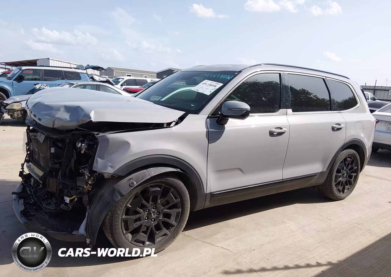 2022 Kia Telluride Sx VIN:5XYP5DHC5NG230026 - 17