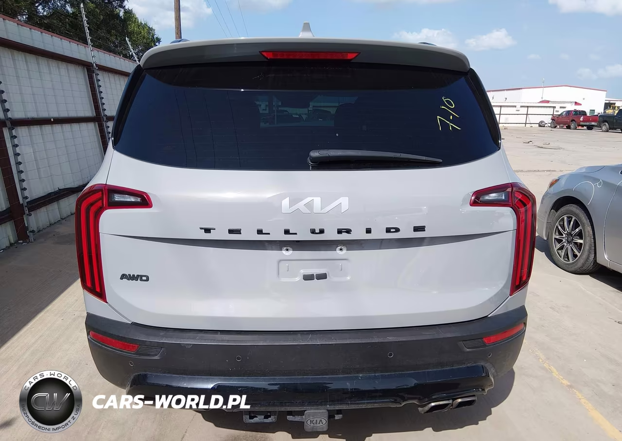 2022 Kia Telluride Sx VIN:5XYP5DHC5NG230026 - 19