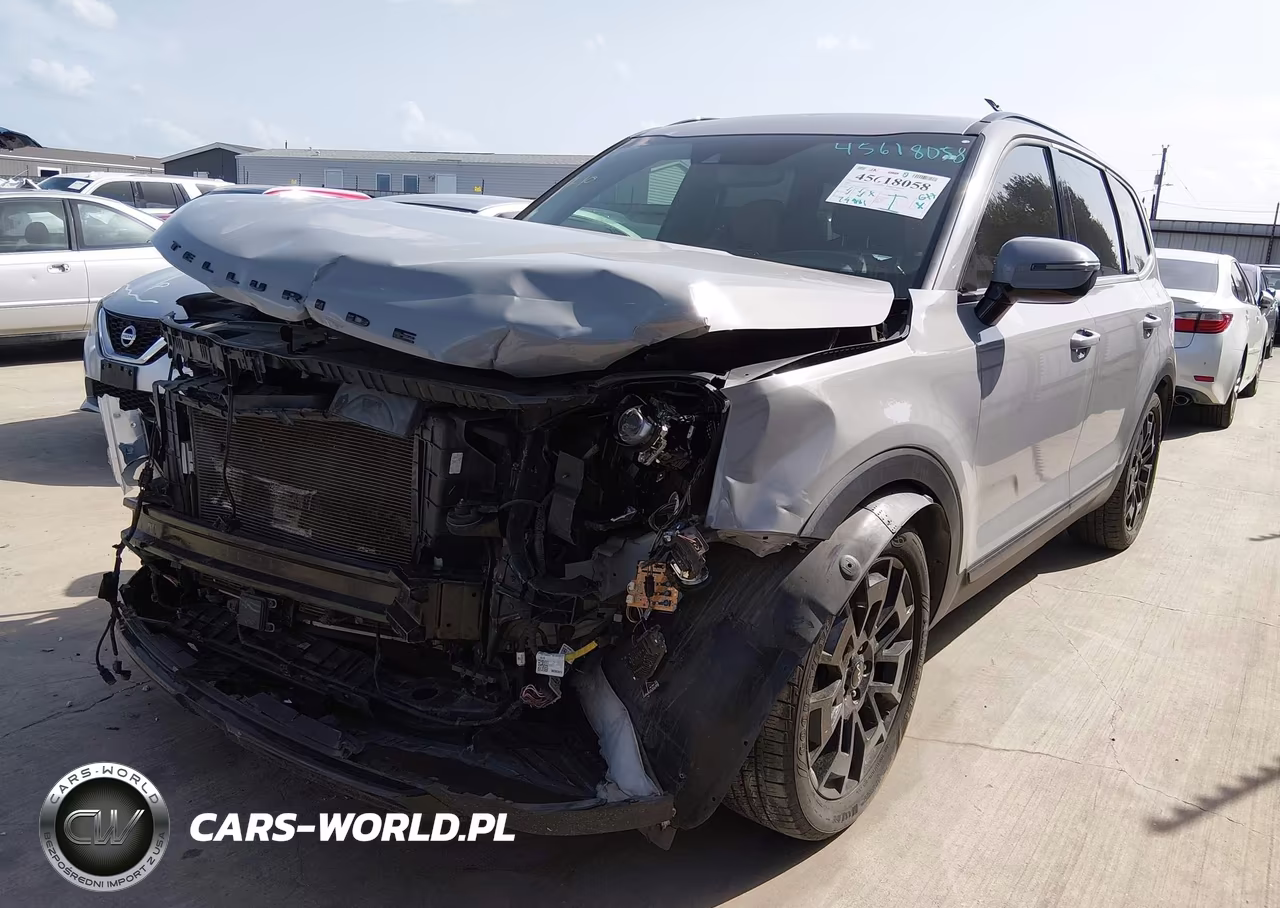 2022 Kia Telluride Sx VIN:5XYP5DHC5NG230026 - 2