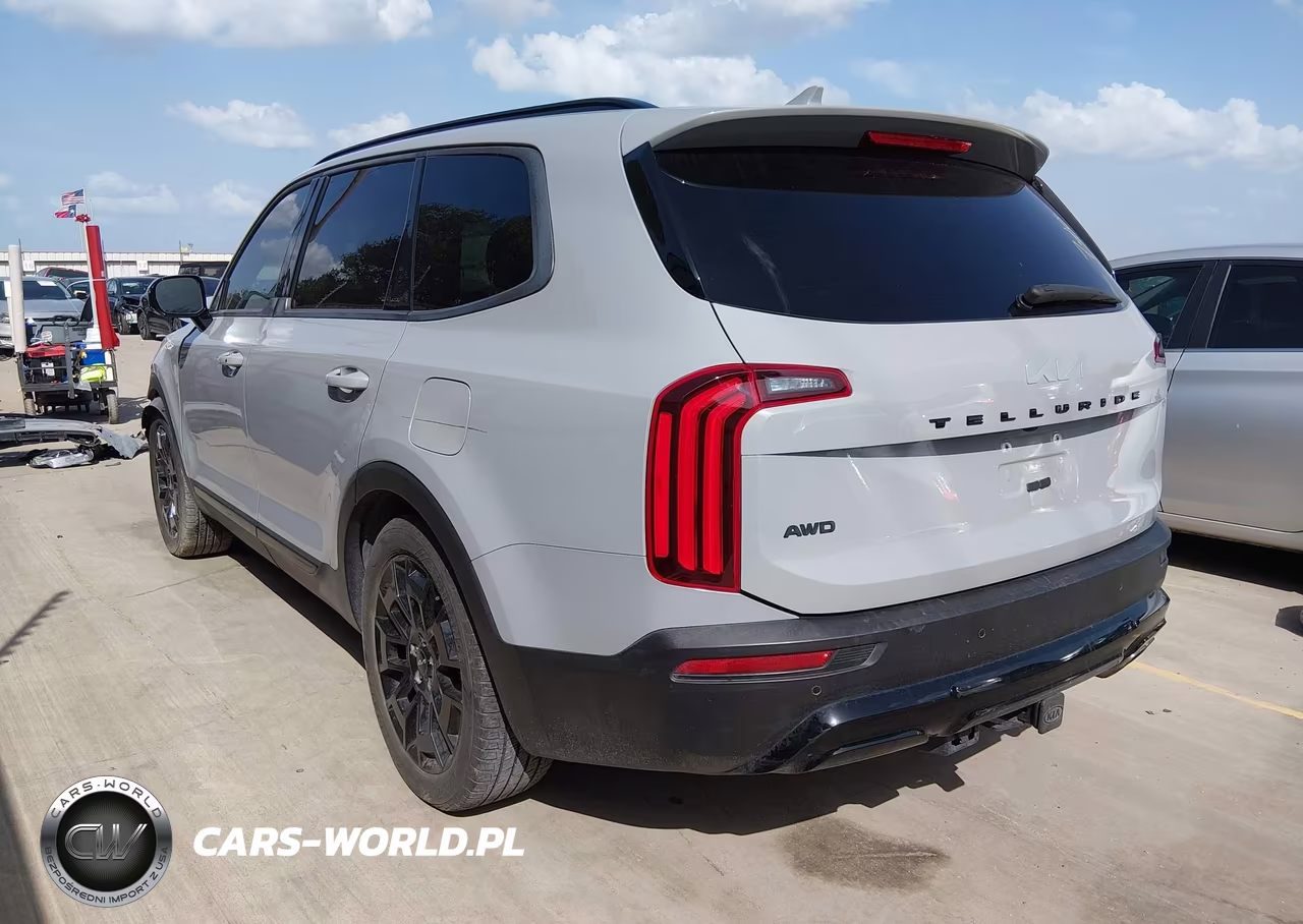 2022 Kia Telluride Sx VIN:5XYP5DHC5NG230026 - 3
